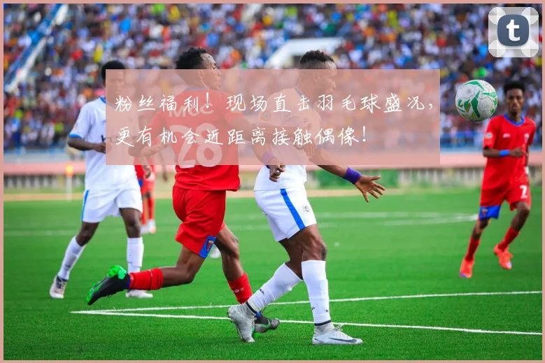 粉丝福利!现场直击羽毛球盛况,更有机会近距离接触偶像!