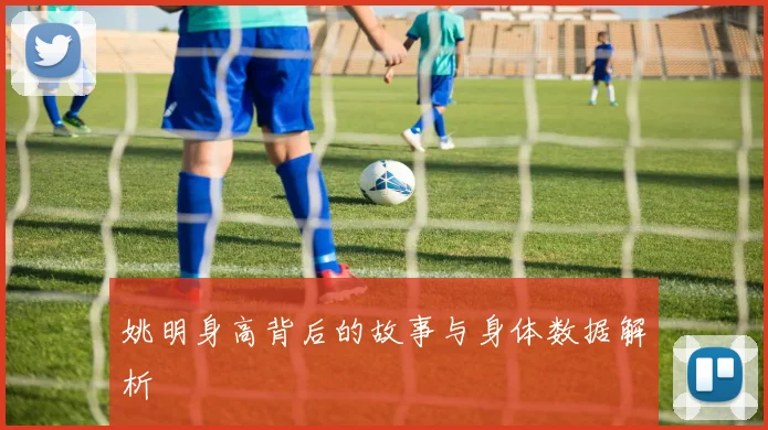 姚明身高背后的故事与身体数据解析