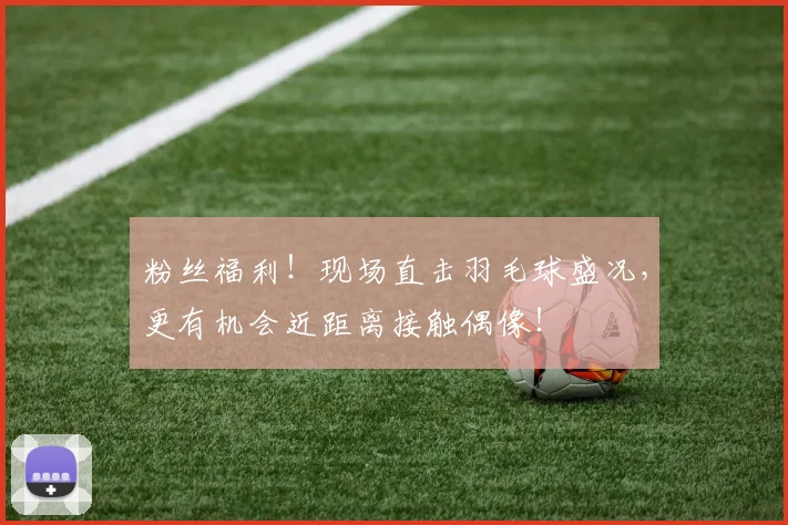 粉丝福利!现场直击羽毛球盛况,更有机会近距离接触偶像!